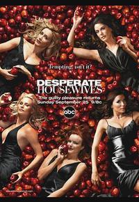 绝望主妇 第二季