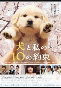 狗狗与我的十个约定 狗狗与我的十个约定