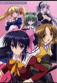 守护猫娘绯鞠 守护猫娘绯鞠