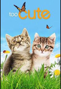 萌宠成长记 第一季