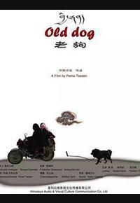 老狗