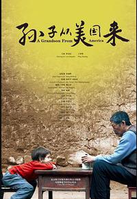 孙子从美国来 孙子从美国来