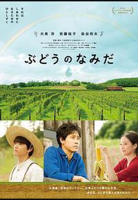 葡萄的眼泪 葡萄的眼泪