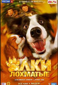 小狗当家 小狗当家