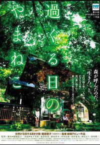 往日的山猫 往日的山猫