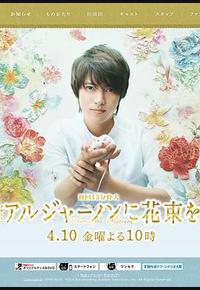 献给阿尔吉侬的花束 献给阿尔吉侬的花束