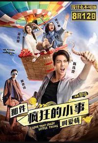 那件疯狂的小事叫爱情