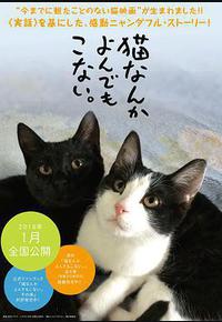 为什么猫都叫不来 为什么猫都叫不来