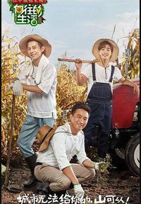 向往的生活 第一季 向往的生活 第一季