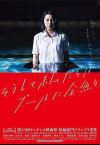 就这样,我们把金鱼放入了泳池 就这样,我们把金鱼放入了泳池