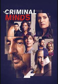 犯罪心理 第十五季