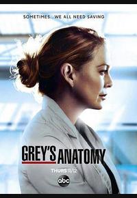 实习医生格蕾 第十七季