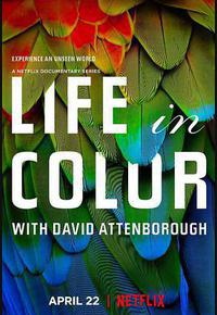 生命之色 生命之色