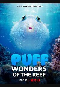 河豚之家：神奇的珊瑚礁