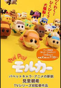 天竺鼠车车 天竺鼠车车