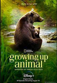 动物成长 动物成长