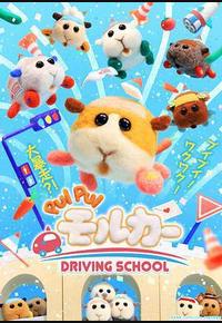 天竺鼠车车 学车篇