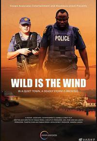 狂风飒飒 狂风飒飒