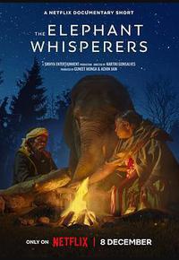 小象守护者 小象守护者