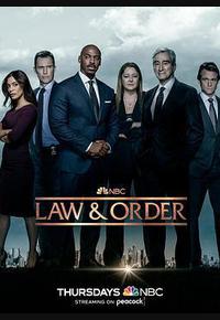 法律与秩序 第二十二季