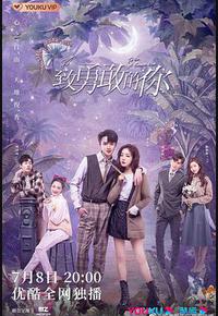 致勇敢的你 致勇敢的你