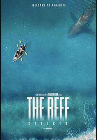 暗礁狂鲨 暗礁狂鲨