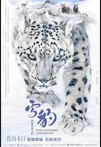 雪豹和她的朋友们