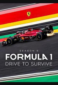 一级方程式：疾速争胜 第五季