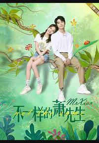 不一样的萧先生 不一样的萧先生