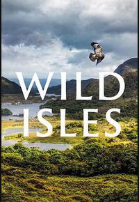 野性英伦 野性英伦