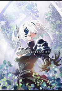 尼尔：自动人形 Ver1.1a