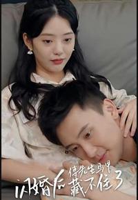 闪婚后傅先生马甲藏不住了