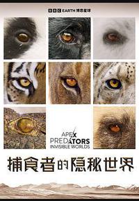 捕食者的隐秘世界