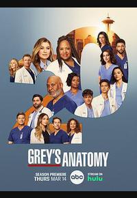 实习医生格蕾 第二十季