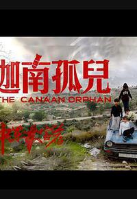 中东大宝荐2:迦南孤儿 中东大宝荐2:迦南孤儿
