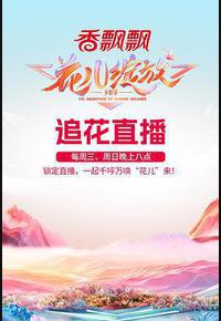 花儿绽放 花儿绽放