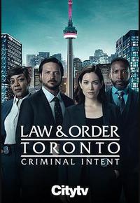 多伦多法律与秩序：犯罪倾向