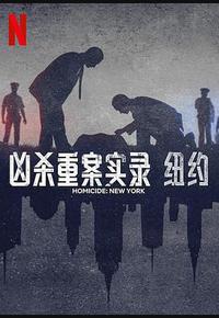 凶杀重案实录:纽约 凶杀重案实录:纽约