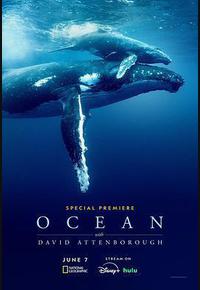 大卫·爱登堡：海洋