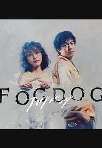雾中之犬