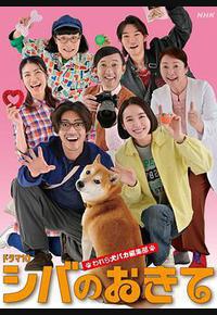 柴犬的规矩～我们这群狗痴编辑部～